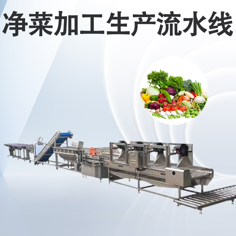 91免费下载看片怎麽布局？
