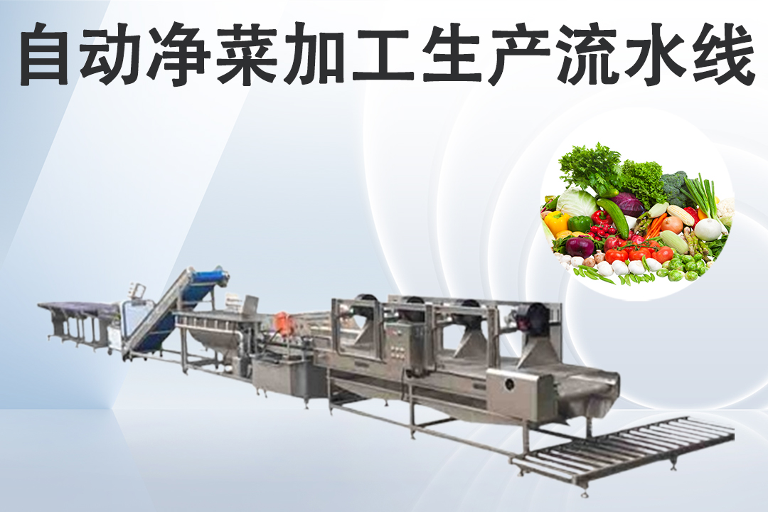 91免费下载看片
