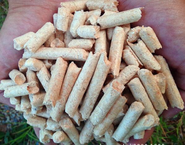 生物质燃料91免费视频网站械