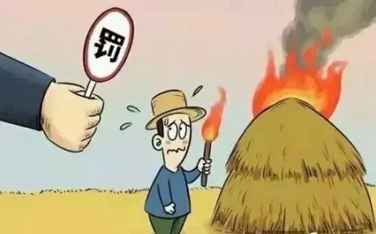 生物质91免费视频网站械