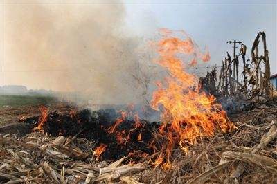 生物质91免费视频网站械