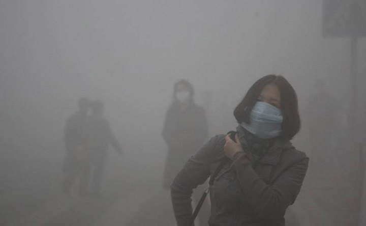 生物质91免费视频网站械
