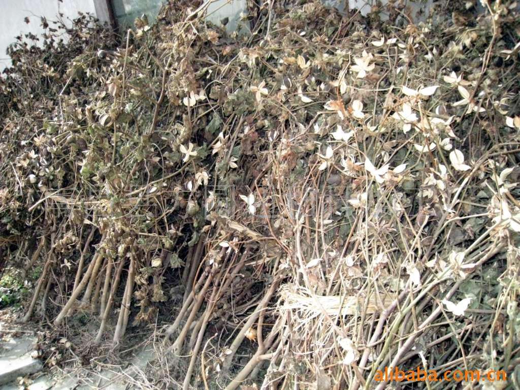 生物质91免费视频网站械