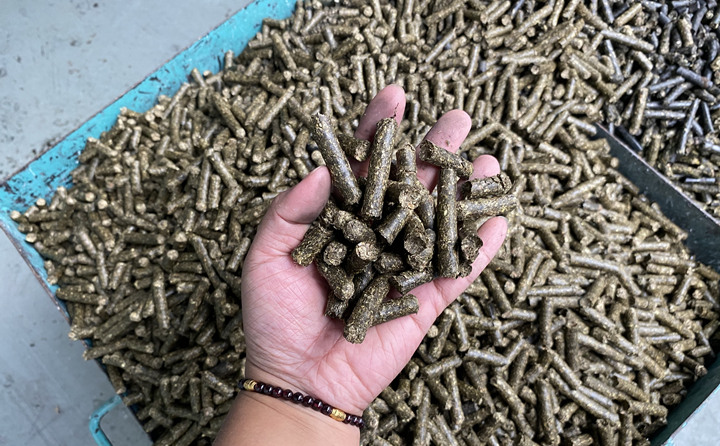 生物质燃料91免费视频网站的颗粒燃料