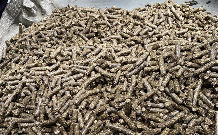 生物质燃料91免费视频网站颗粒项目