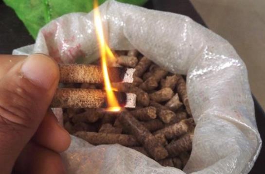 生物质91免费视频网站的颗粒燃料