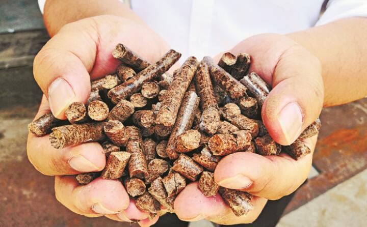 生物质91免费视频网站生物能源项目