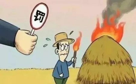 秸秆禁烧怎么办？秸秆91免费视频网站帮您变废为宝！