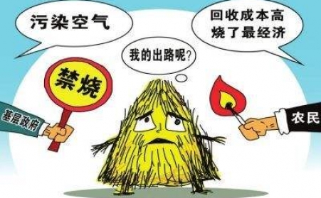 黑龙江秸秆91免费视频网站把秸秆从包袱变回宝贝！