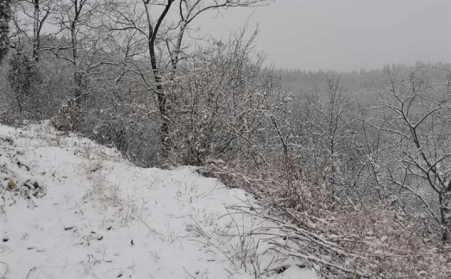 下雪天与91免费视频网站发货更配
