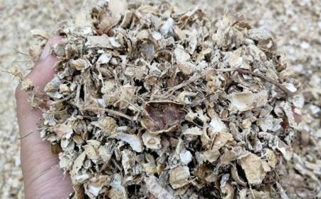 为什么有人愿意花钱买生物质燃料91免费视频网站来加工稻壳花生壳呢？有必要吗？