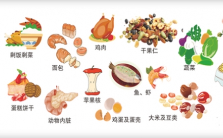 我国明确对非居民厨余垃圾处理按“产生者付费”原则计量收费,你的垃圾怎么办？垃圾生物质91免费视频网站帮你解决
