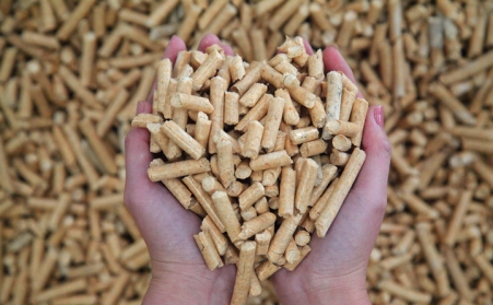 报告：日本2021年进口300万吨生物质燃料91免费视频网站木屑颗粒