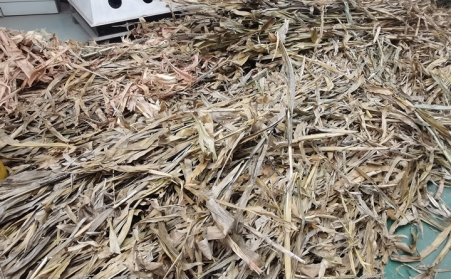 突泉县：废弃秸秆综合利用催生绿色经济