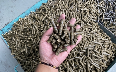发展生物质能有怎样的重要性和必要性？