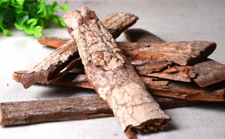 深入！为什么欧洲需要依靠可持续的生物能源