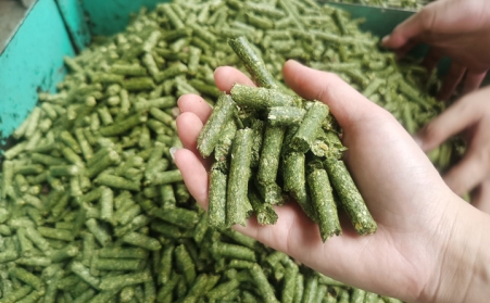 河南支持生物质能等可再生能源替代，助力实现碳达峰碳中和目标
