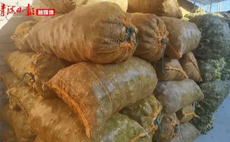 青海海东乐都：生物质颗粒燃料燃起乡村振兴新希望