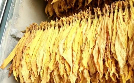 湖北省十堰市竹溪桃源乡：生物质燃料运输正当时